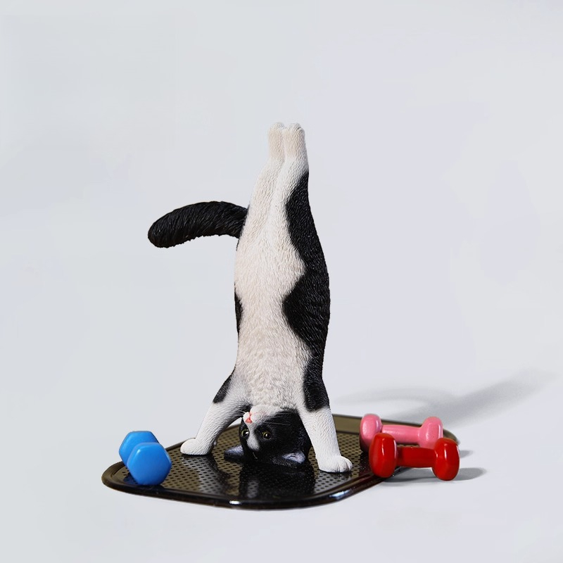 Mini-Simulations-Fitness-Katze – Yoga In Fitness First Bewertung und Preis