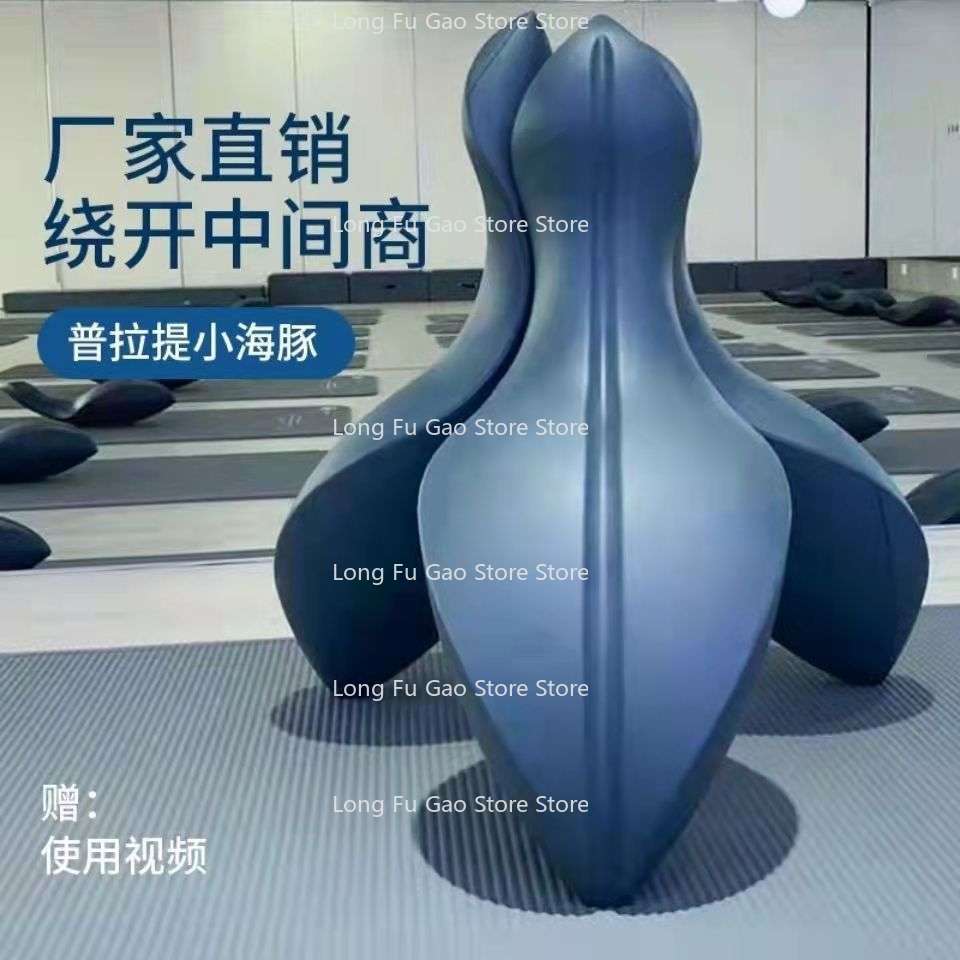 Pilates Dolphin OOV Pilates Wi – Yoga Fitness Video Bewertung und Preis